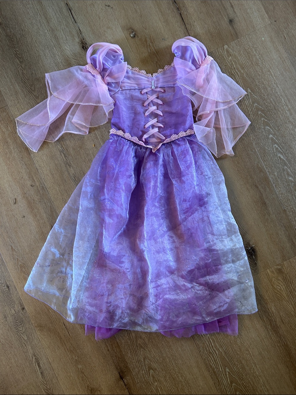 Disney Rapunzel Princess Dress Costume